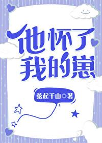 他怀了我的孩子